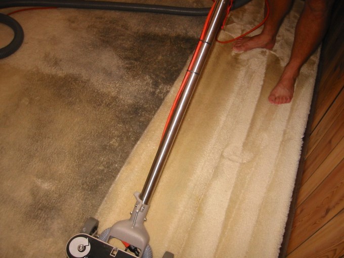 Carpet Cleaning Tips Secrets Auckland Steam N Dry Stain Removal Diy